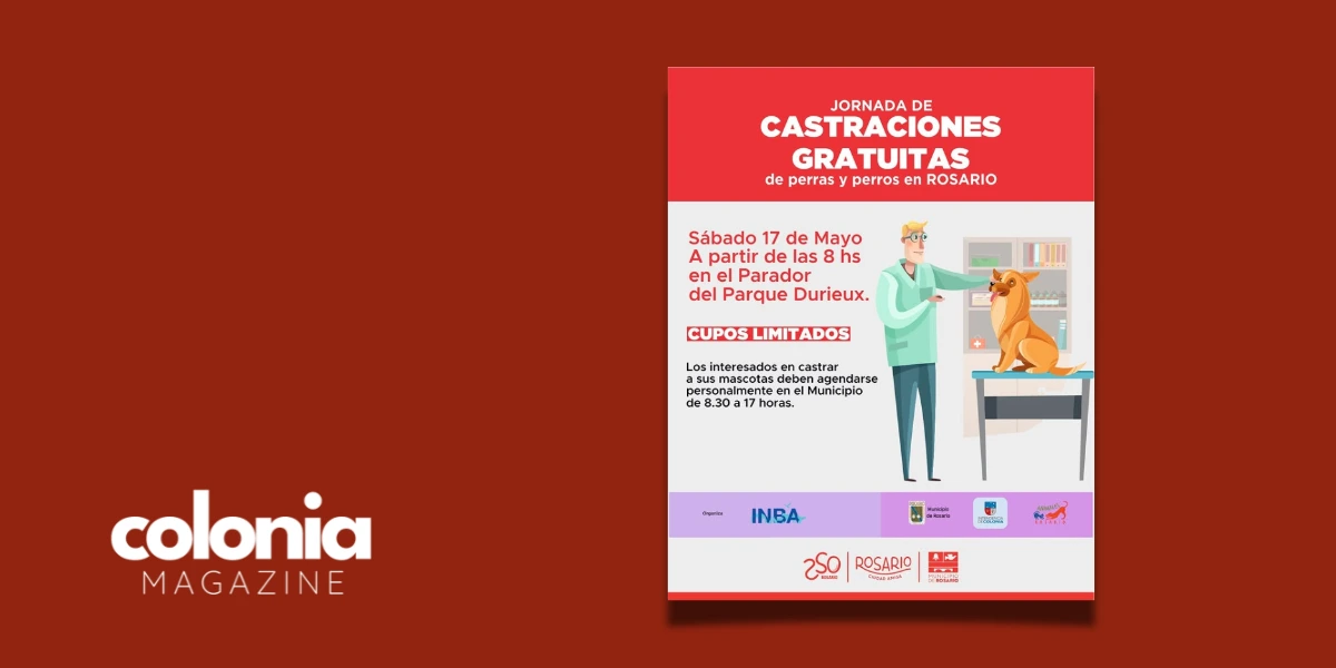 Jornada de castraciones gratuitas en Rosario